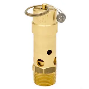 1/2" ASME Soft Seat Safety Valve 150 psi 595 SCFM - SB50-150