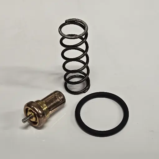 Thermostatic Valve Kit 9050051